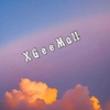 XGeeMall