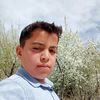 kral3817761520523