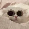 mili_amor_235