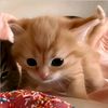 viny.xly