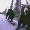 тгк:confusedqq