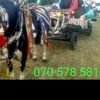 sebajdin.limani