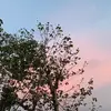 triangeldh