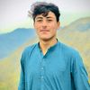 zabih.ullah791