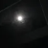 _anttonela_13
