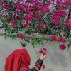 afsanasetu2