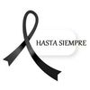 mirtagomez454