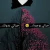 user4255497788539