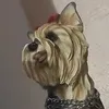 marioutlook.com8