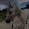 user_56789713