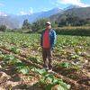 rodrigo_bautista.1214