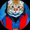 mohamedamin4329543