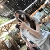 dthuanh_24