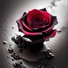 heartsoul5832