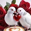 laylay46672