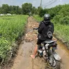 no1hocmon