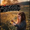 amalirxt9nj
