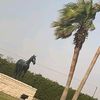 ghnadeer26_