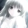 vn_53l