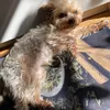niki_austria16