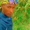 kadiirqaabatoo76