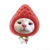 can_tika48