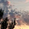 iuliamorcov