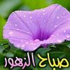 user33635144033405