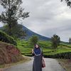 hartini.saidin
