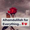 ysha3282