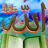 om.mohamed.nasser5