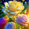 asma.aktar.lily