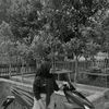 yunaa_unaa2