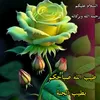 user8431149685622