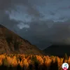 artikbaeva_66