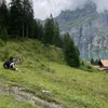 gerg_s018