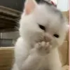 jmjmj123