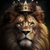 luis.omar02