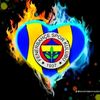 mert.tekin58