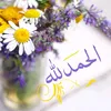 8aseel7