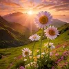 ladychoice_1993