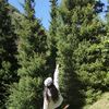 1shenova_00