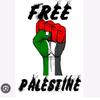 freepalestina758