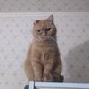 artem_i_mary