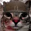 gato_soldado0