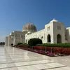 dalia.zran