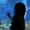 marina._.vardolova