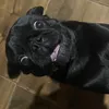juni0rpereira_