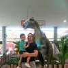 mohamedjaafari95