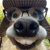 urdailycosnerd
